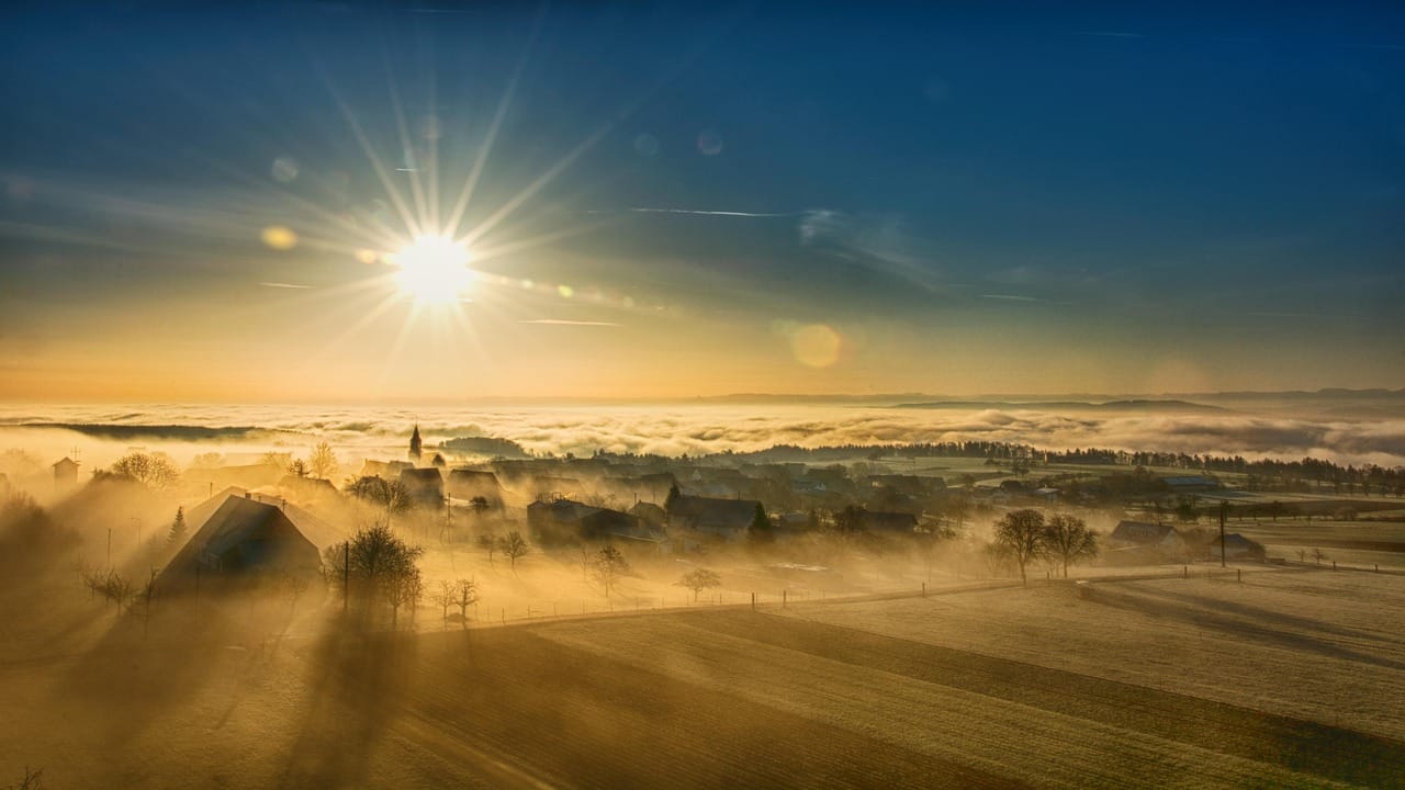 "Thick fog rises" came on time this year: three white mornings in a row in the low field.