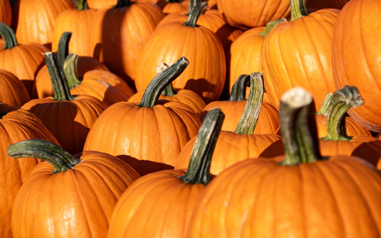 October: the whole front of the stall turns orange, and dinner does too.
