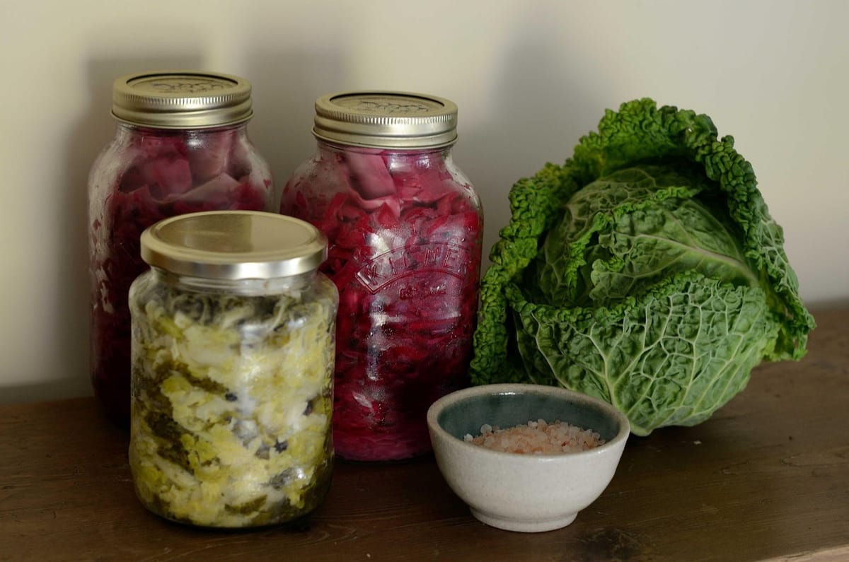 What fermenting taught me about patience